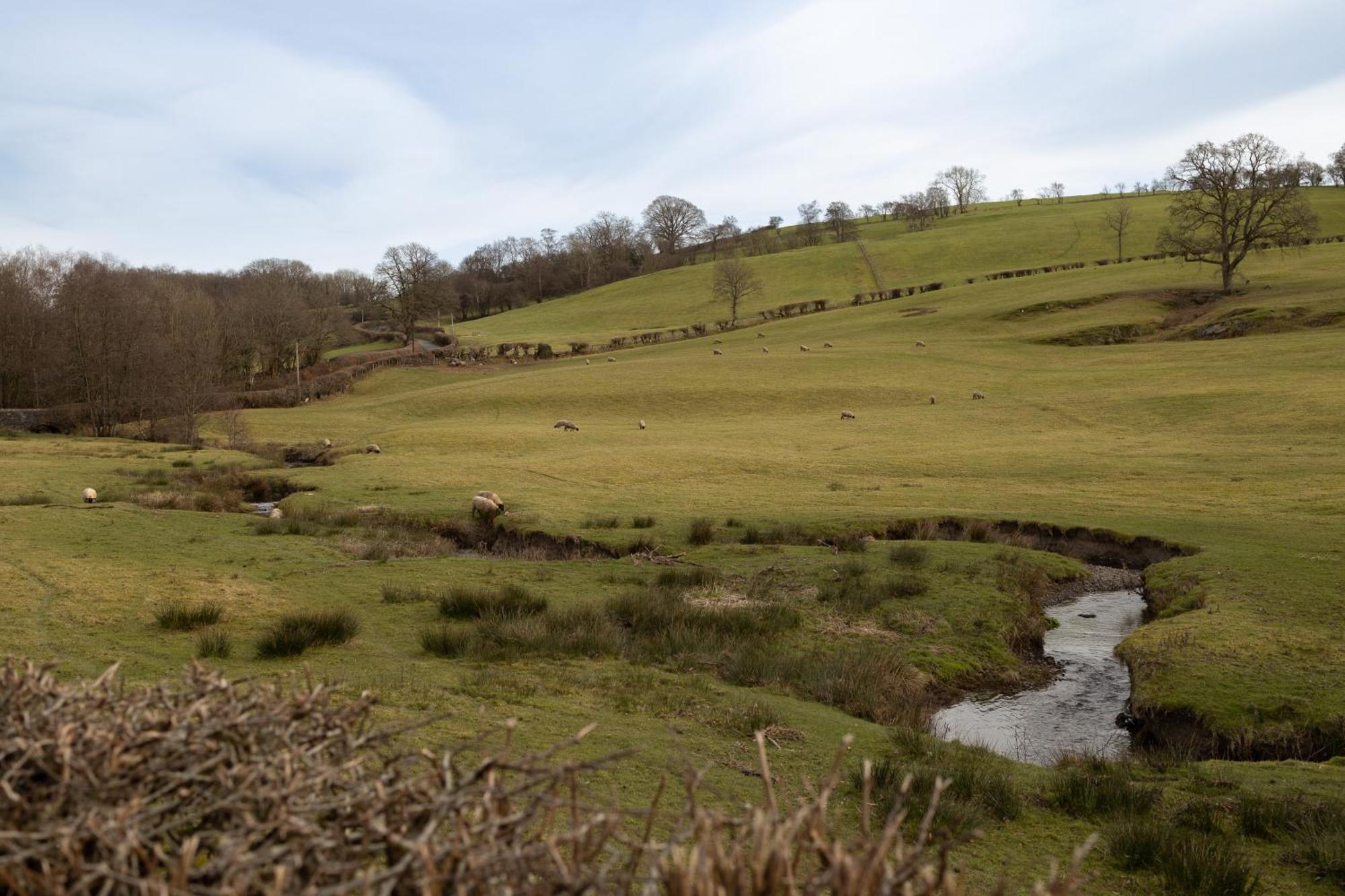 Brecon Beacons Cottage With Stunning Country Views Myddfai Экстерьер фото